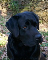 /album/fotogaleria/a028-jpg/