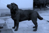 /album/fotogaleria/a100-0277-jpg/