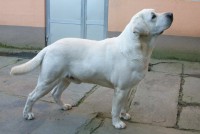 /album/fotogaleria/a026-jpg/