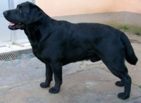 /album/fotogaleria/xs-527039-jpg/