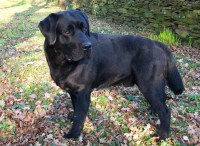 /album/fotogaleria/xs-676021-jpg/