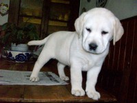 /album/fotogaleria/a100-0552-jpg/