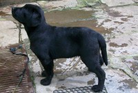 /album/fotogaleria/a100-0837-jpg/