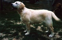 /album/fotogaleria/file0462-jpg/