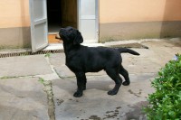 /album/fotogaleria/a100-0841-jpg/