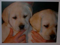 /album/fotogaleria/a100-1216-jpg/